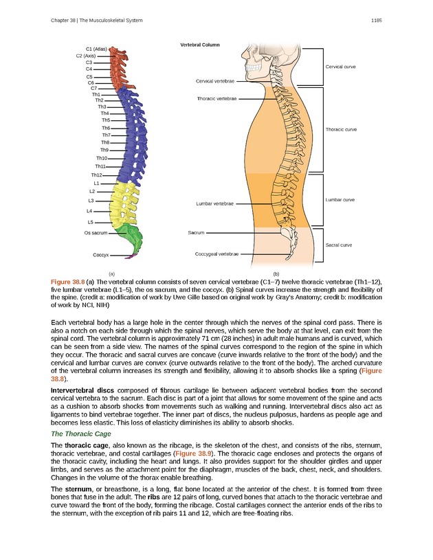Biology - New Page