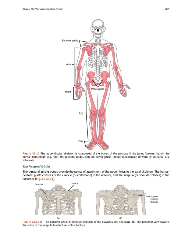 Biology - New Page