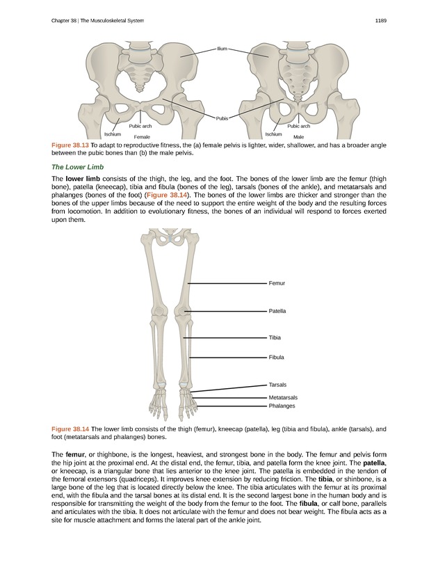 Biology - New Page