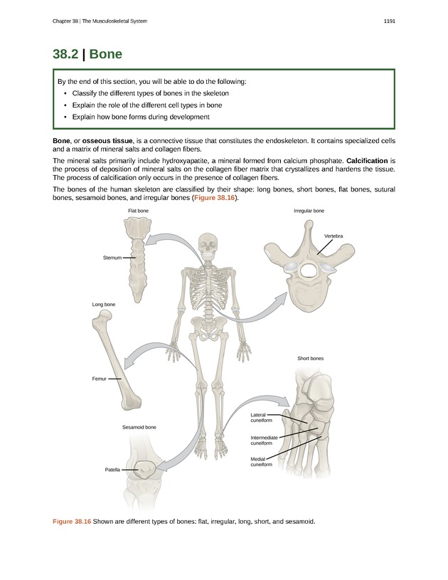 Biology - New Page