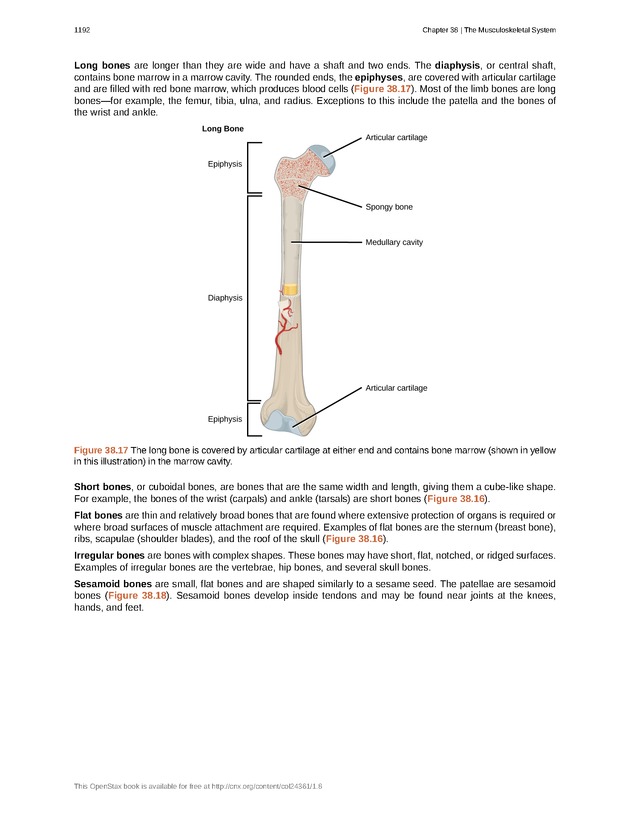 Biology - New Page
