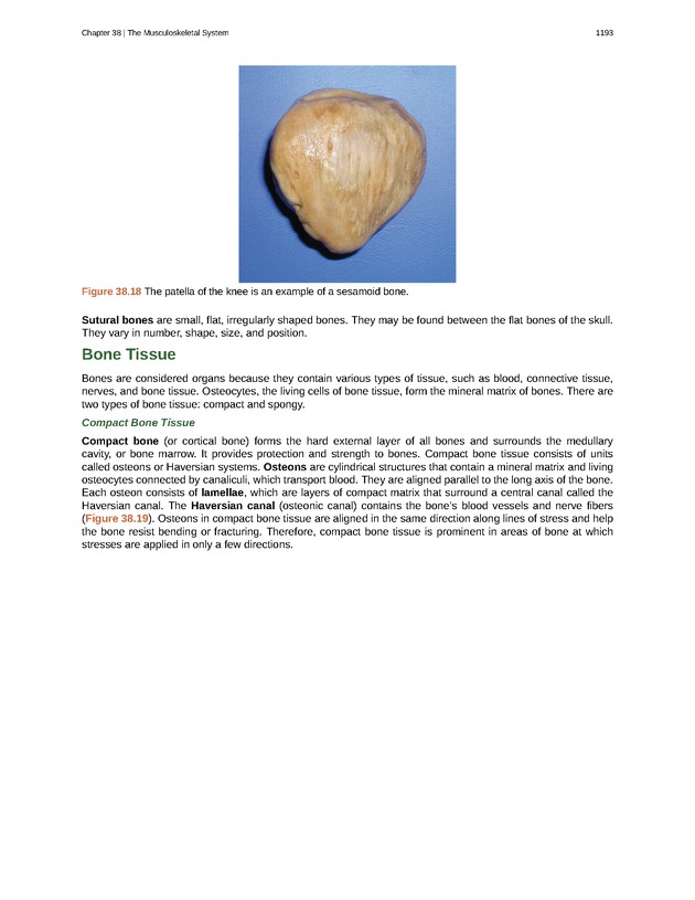 Biology - New Page