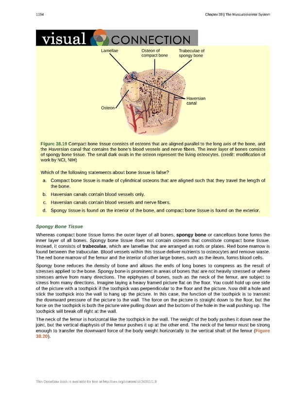 Biology - New Page