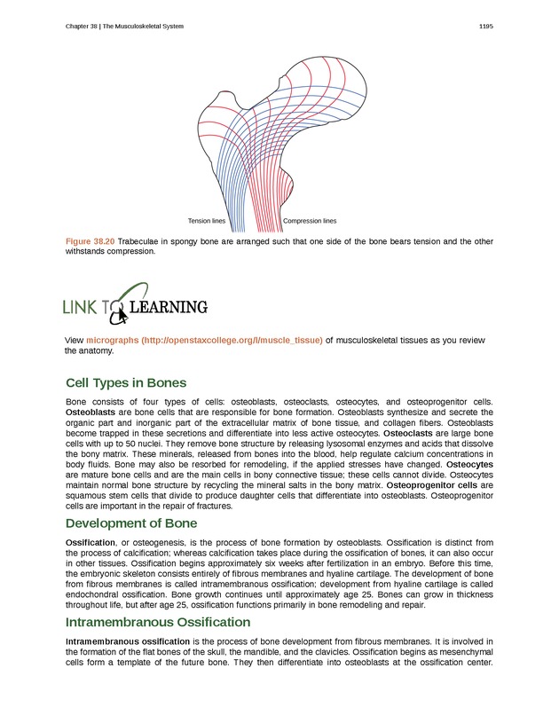 Biology - New Page