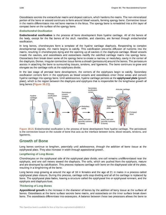 Biology - New Page
