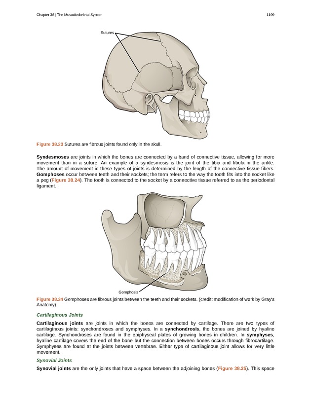 Biology - New Page