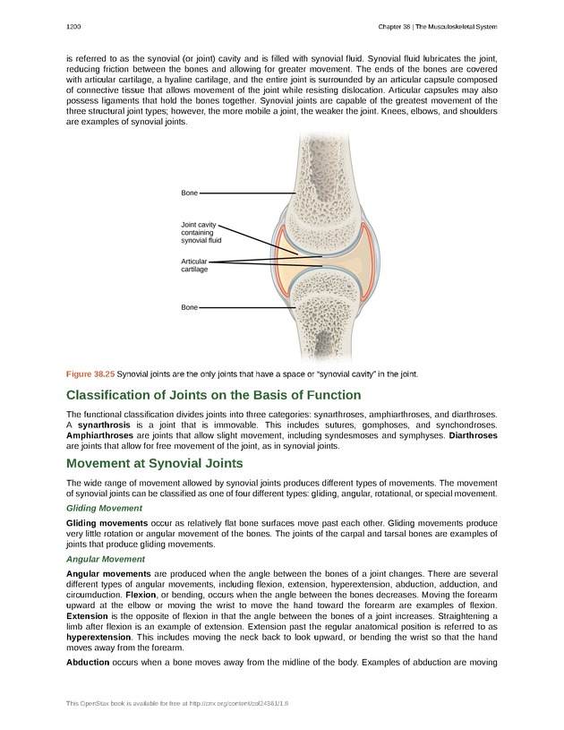 Biology - New Page