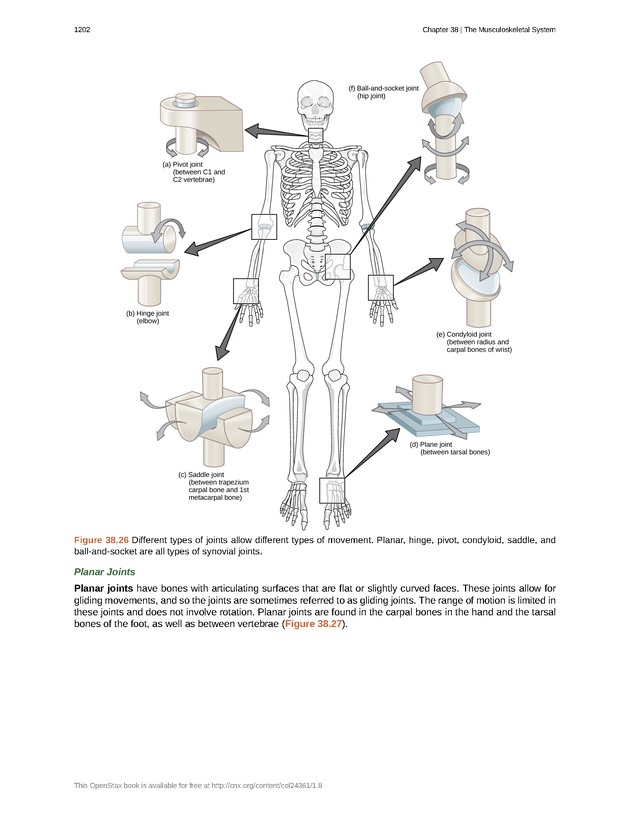 Biology - New Page