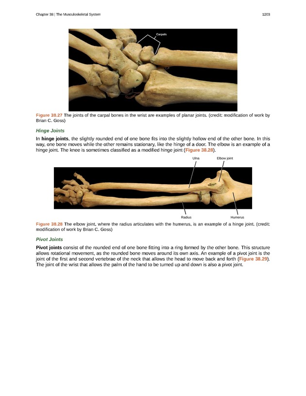 Biology - New Page