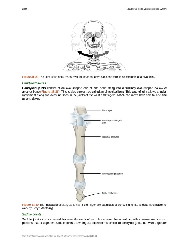 Biology - New Page