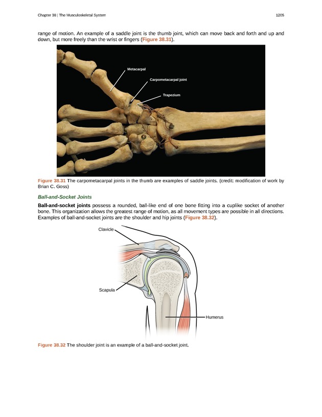 Biology - New Page