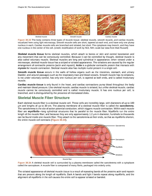 Biology - New Page