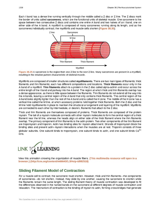 Biology - New Page