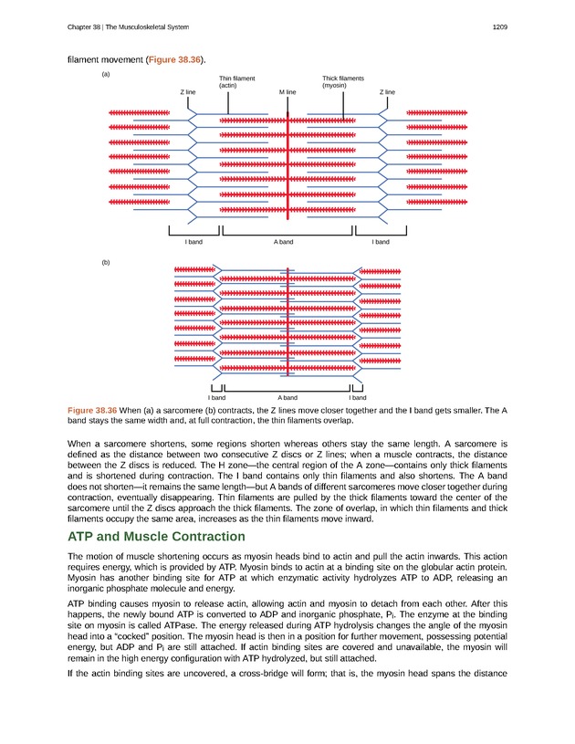 Biology - New Page