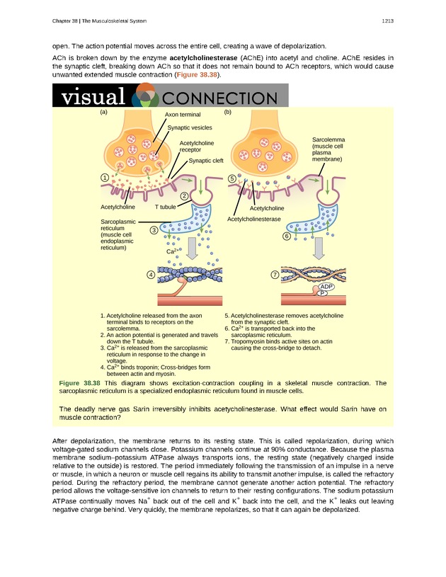 Biology - New Page