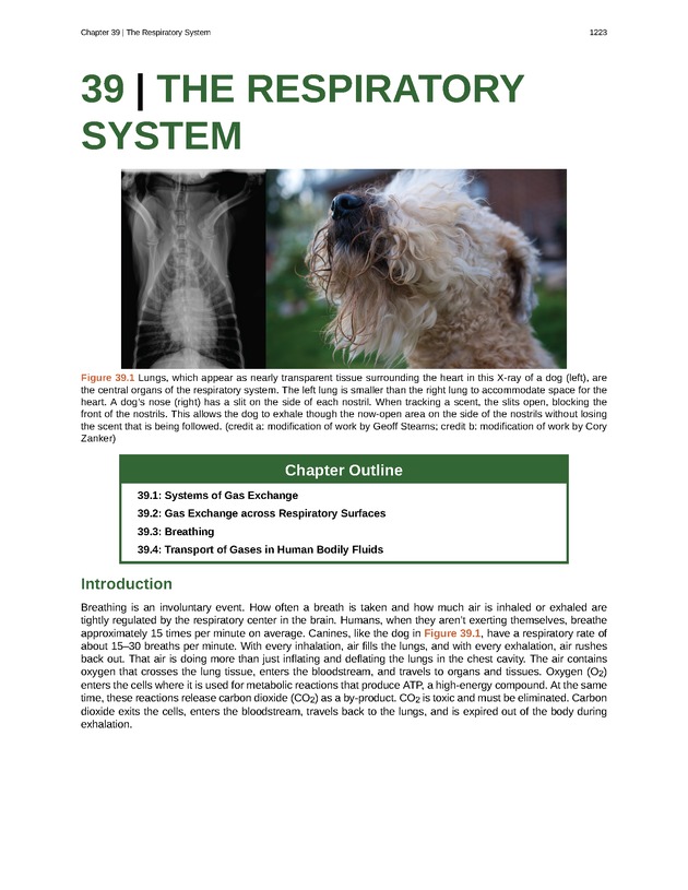 Biology - New Page