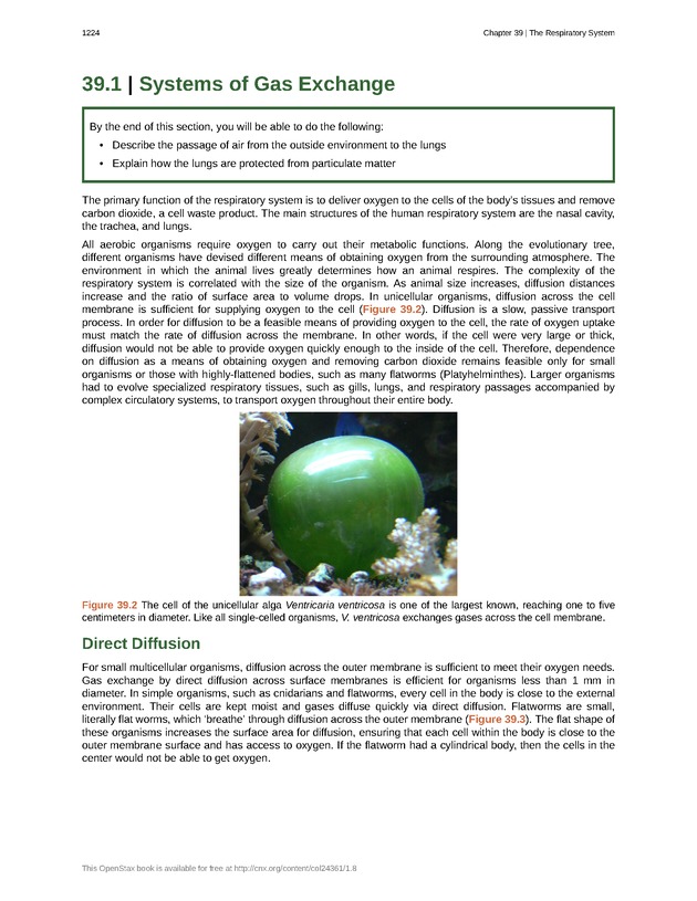 Biology - New Page