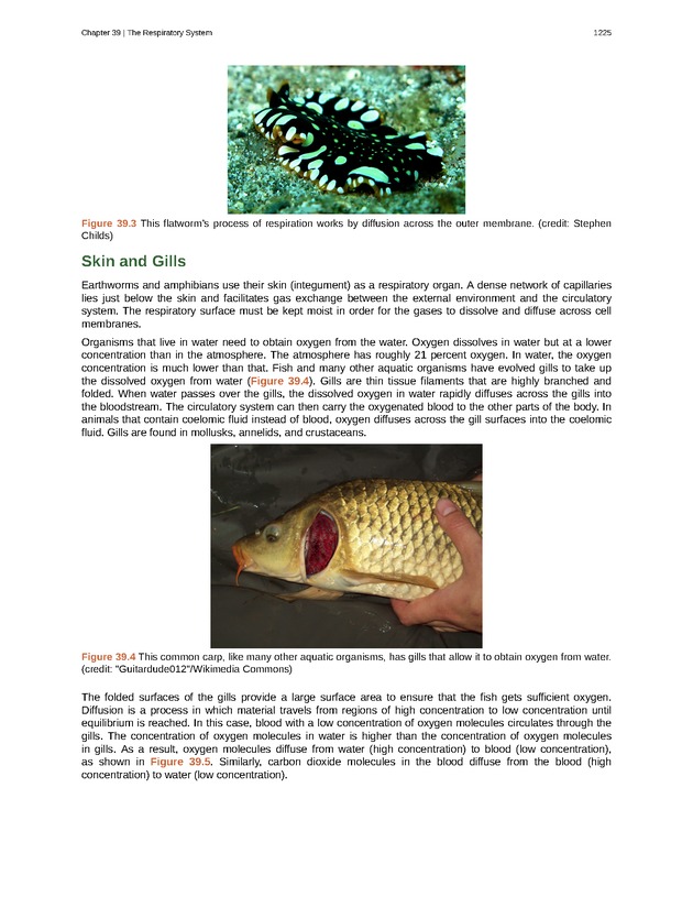 Biology - New Page