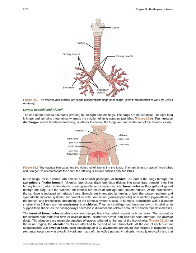 Biology - New Page