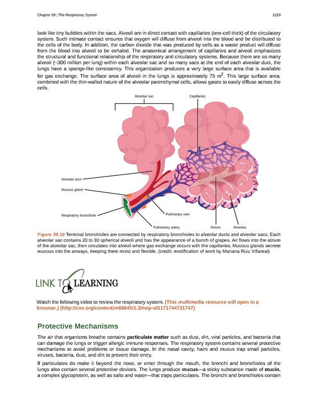 Biology - New Page