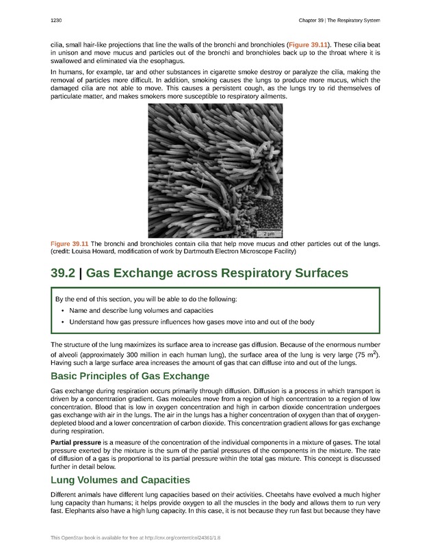 Biology - New Page