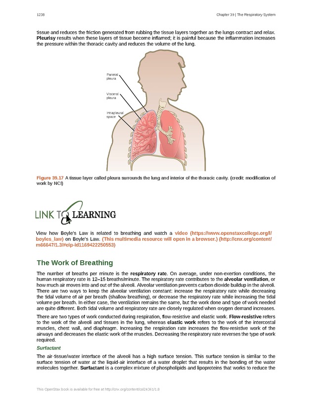Biology - New Page