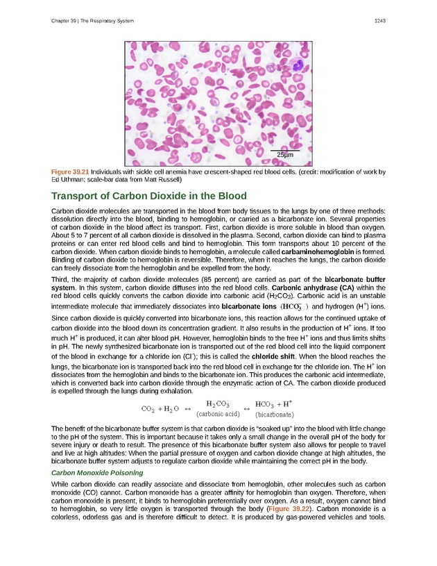 Biology - New Page