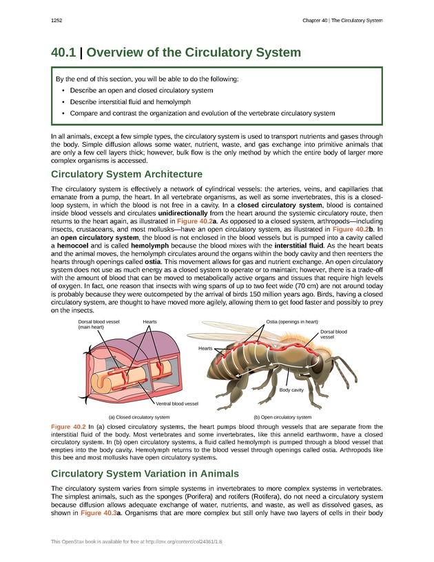 Biology - New Page