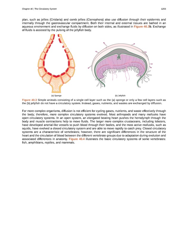 Biology - New Page