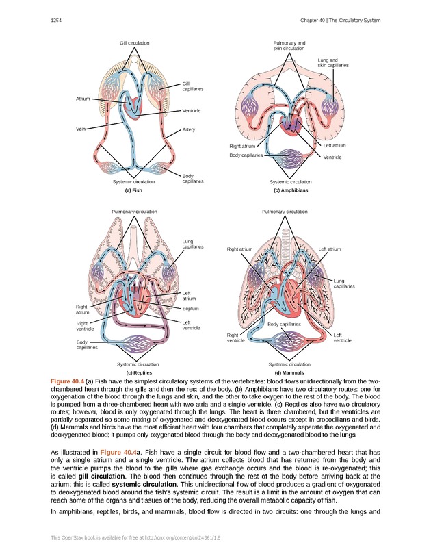 Biology - New Page