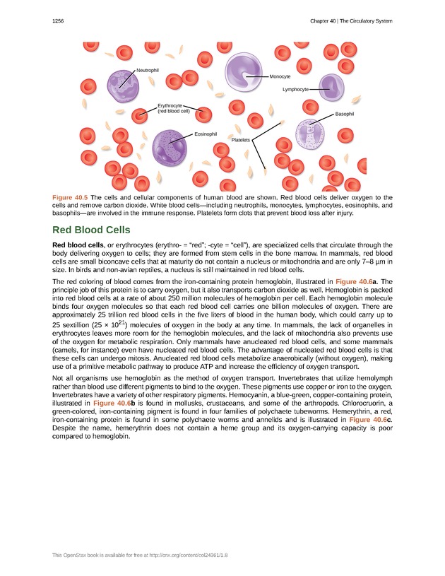 Biology - New Page