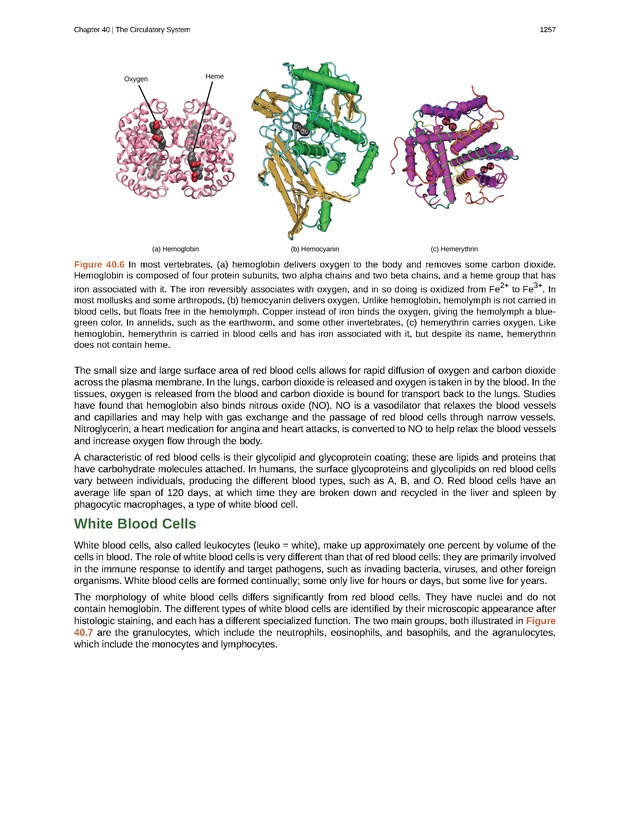 Biology - New Page