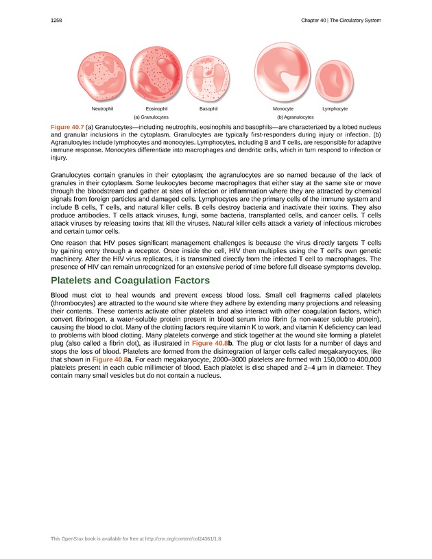Biology - New Page