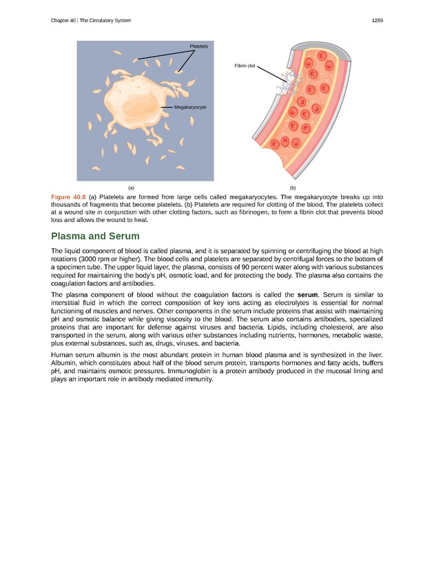 Biology - New Page