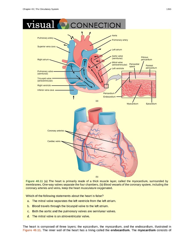 Biology - New Page