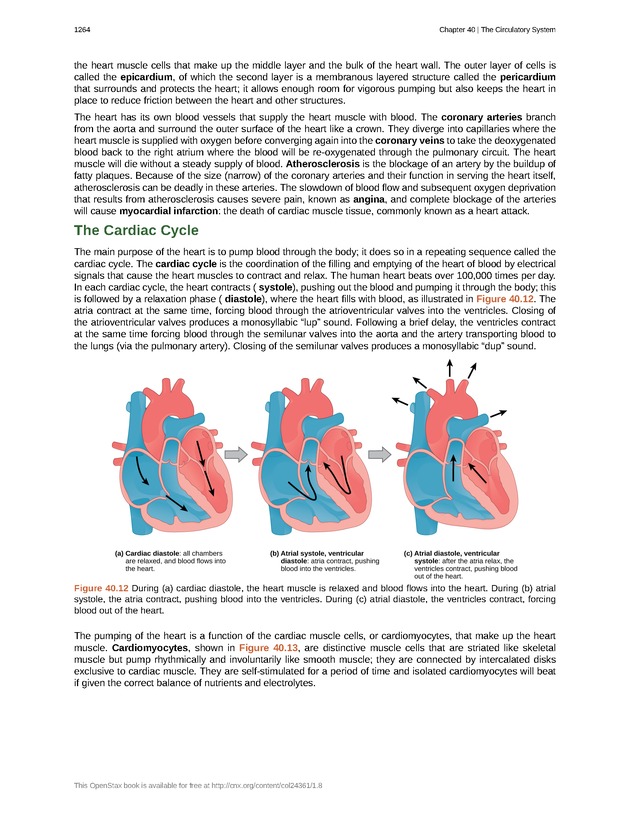 Biology - New Page