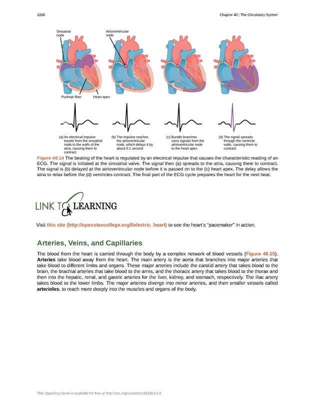 Biology - New Page