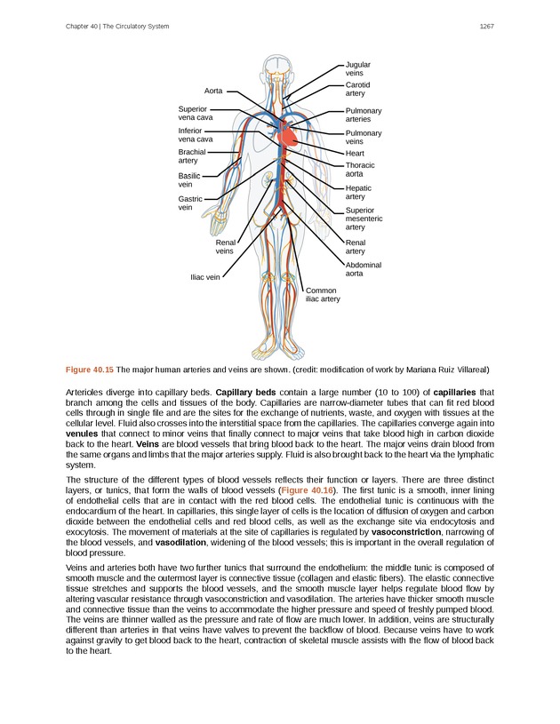 Biology - New Page