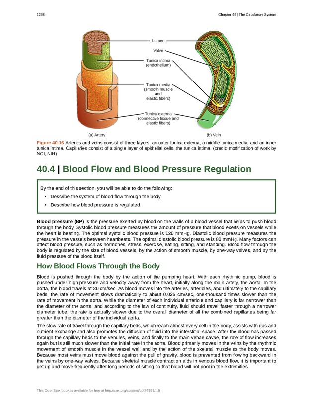 Biology - New Page