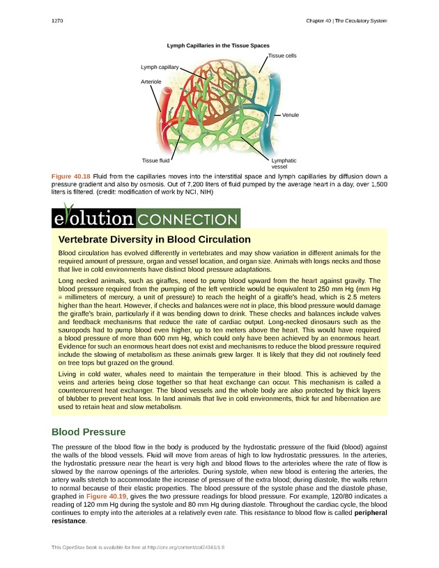 Biology - New Page