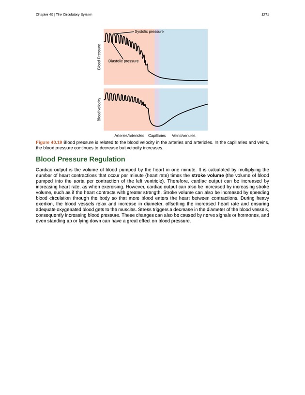 Biology - New Page