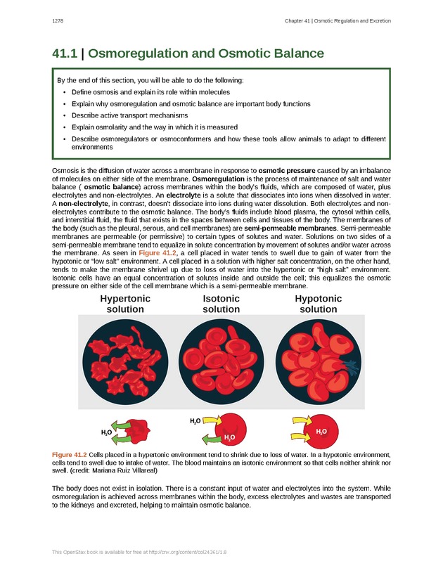 Biology - New Page