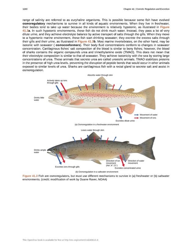 Biology - New Page