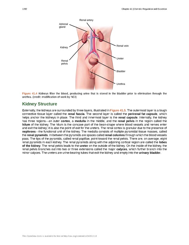 Biology - New Page