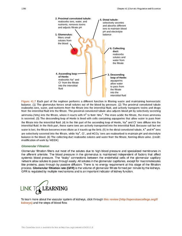 Biology - New Page