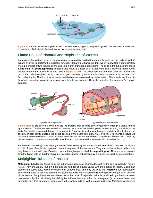 Biology - New Page