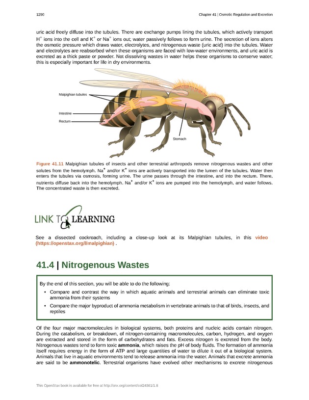 Biology - New Page