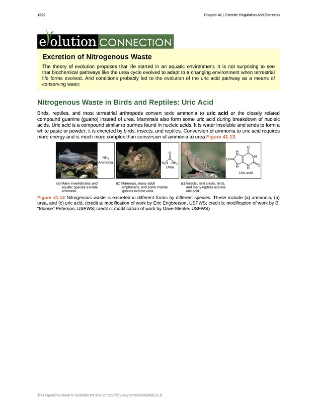 Biology - New Page