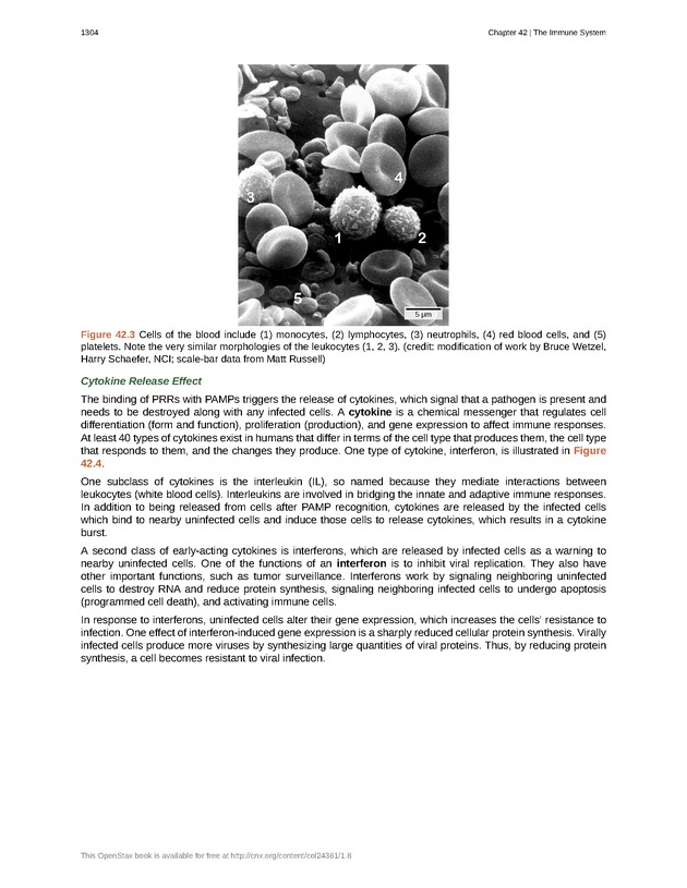 Biology - New Page