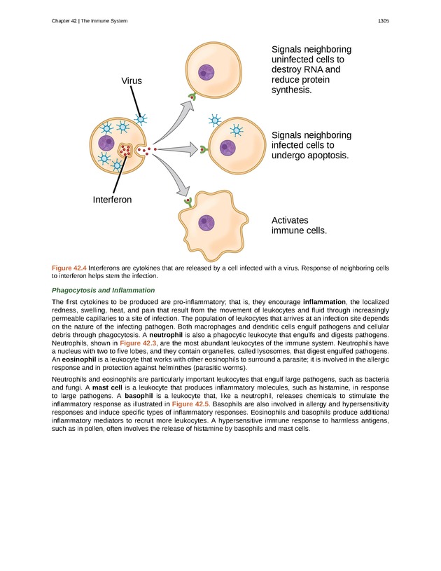 Biology - New Page